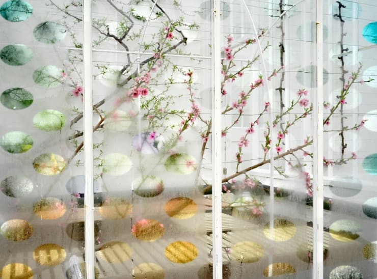 Helen Sear Surface Touch 3, 2020 Hahnemuhle Fine Art Pearl Paper 75 x 100 cms 29 8/16 x 39 5/16 ins