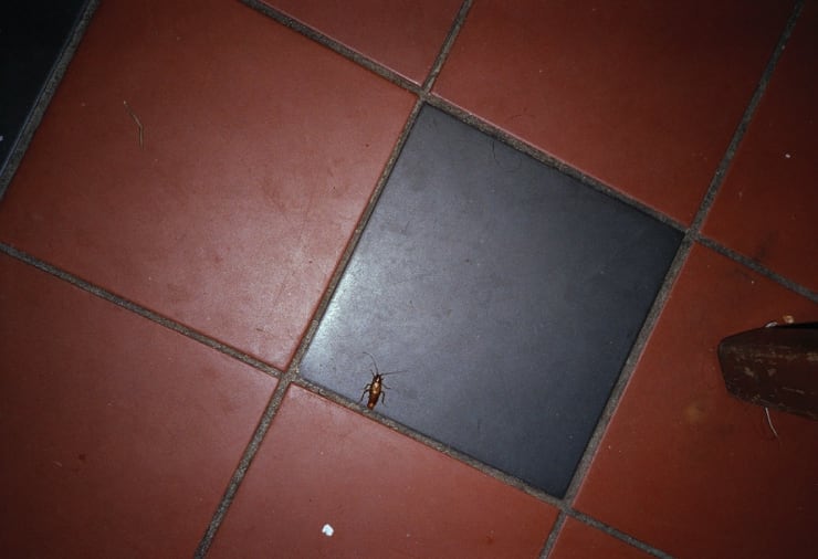 06. Cockroach Diary (1996-99)
