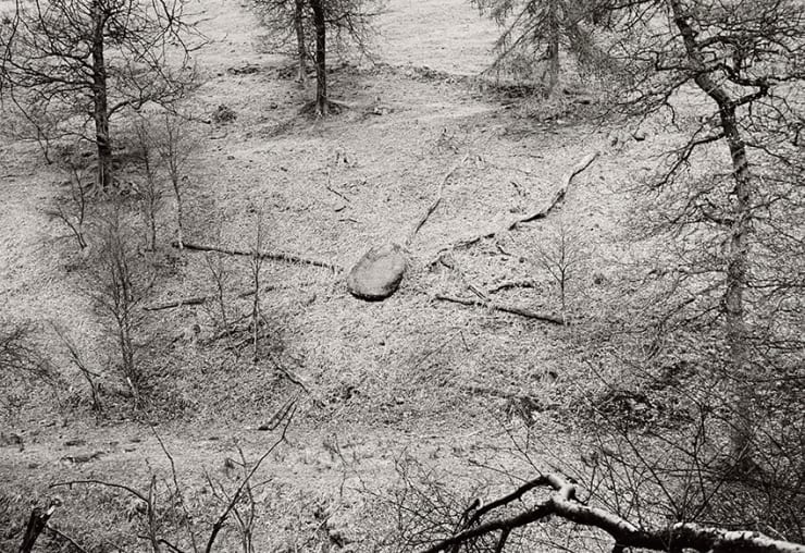 Paul Hill, Stone and Fallen Trees, Gradbach , 1989