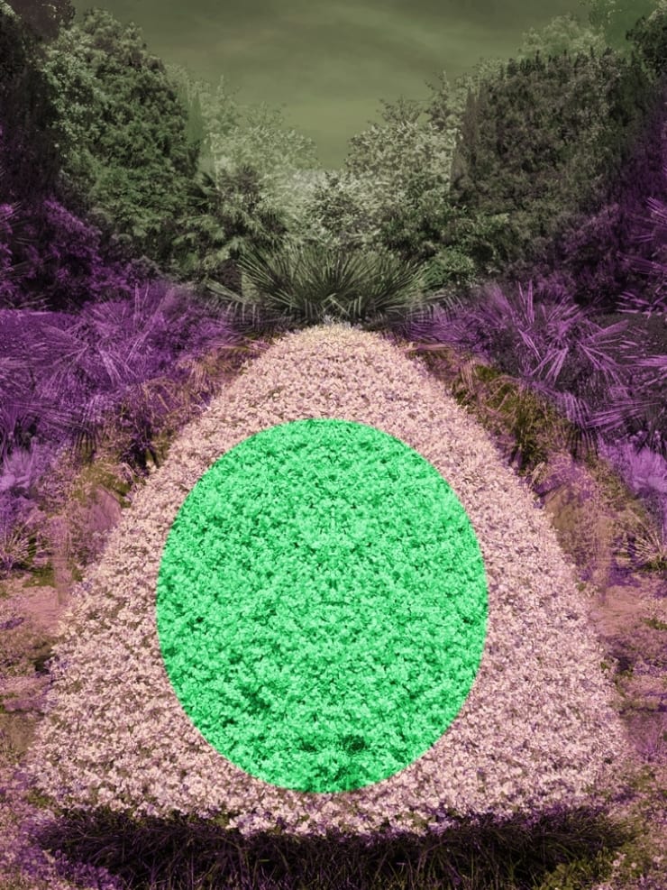 Helen Sear Surreal Bush 5, 2020 Hahnemuhle Fine Art Pearl Paper 35 x 26.4 cms 13 12/16 x 10 6/16 ins