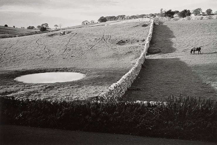 Paul Hill, Dew Pond and Horse, Biggin by Hartington, 1985