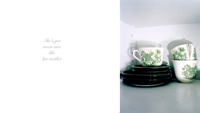 Anna Fox, My Mother's Cupboards and My Father's Words (04), 1999