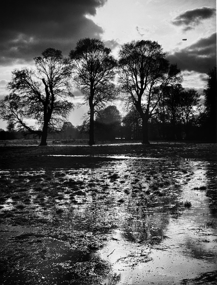 Edwin Smith Trees and Marsh Gelatin Silver Print *Framed 50.8 x 40.5 cms 20 x 16 ins
