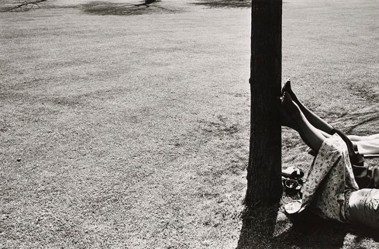 Paul Hill, Legs against Tree, Ashbourne , 1976