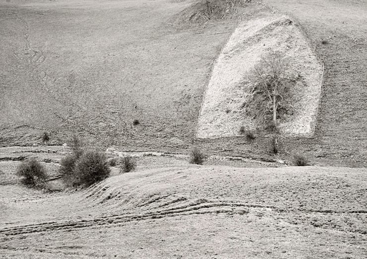 Paul Hill, Fenced in Tree Hill, Havenhill Dale , 1981