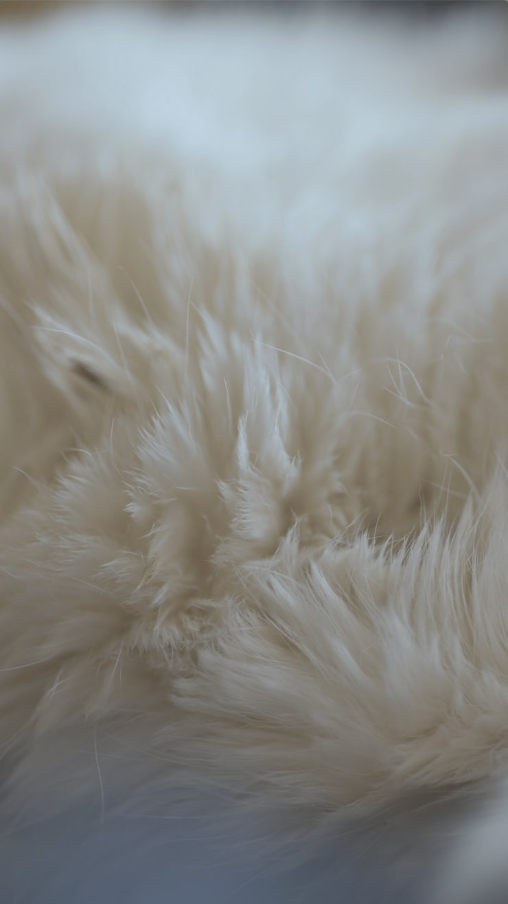 Josh Tonsfeldt 1/14/2022, 2022 digital video, silent Continuous loop Edition 1 of 3 + 2 AP