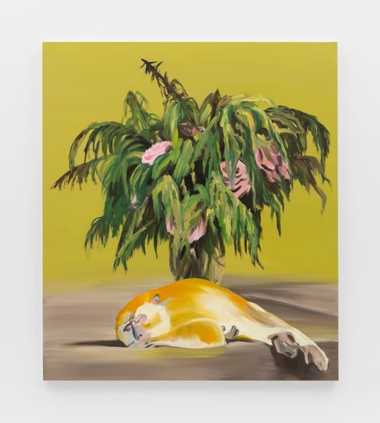 Jo Nigoghossian Deep sleep, 2022 oil on canvas 48 x 42 inches