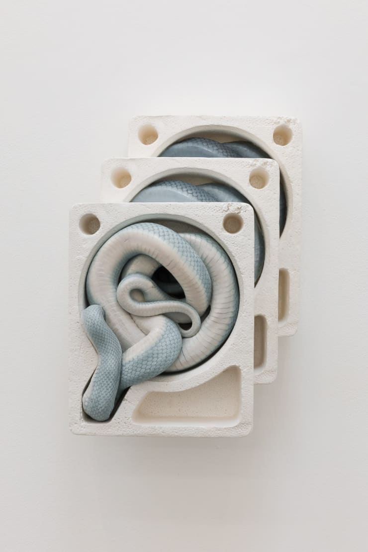 Polly Morgan, Explore the Range, 2025