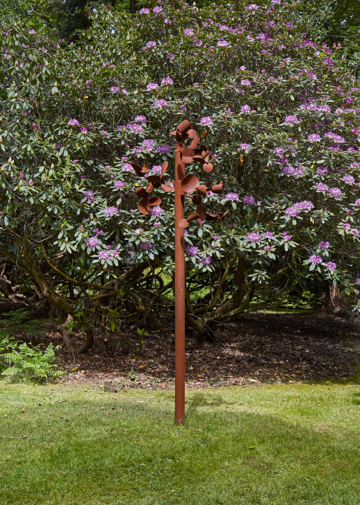 David Murphy, High Shade (II), 2022