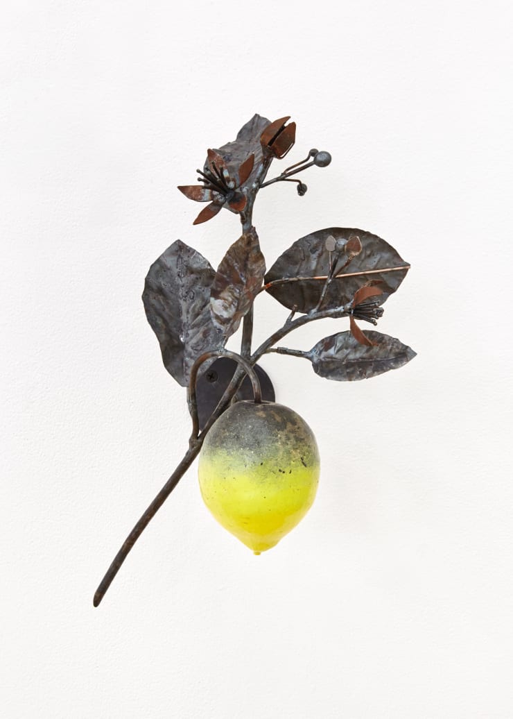 Rob Branigan, Citrus Limon (After A. Pfeiffer), 2019