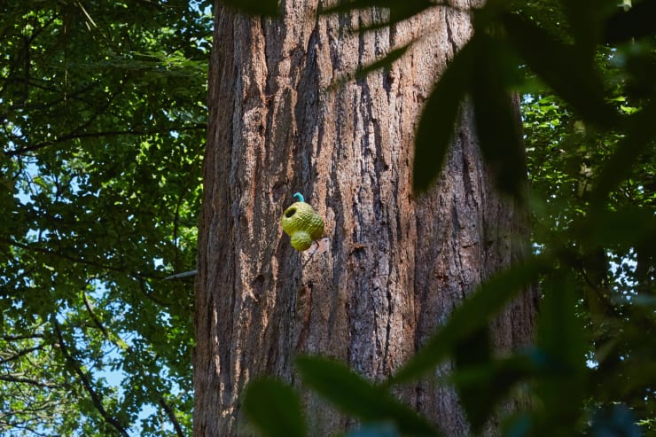 Victor Lim Seaward, Fruit Nest, 2020