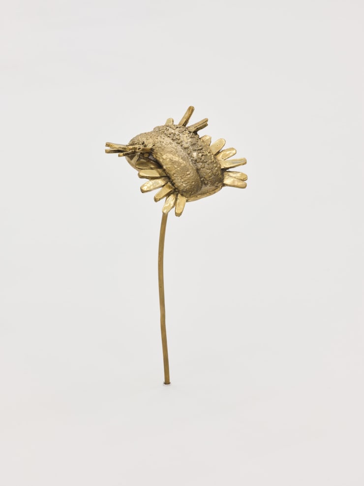 Nona Inescu, Common Daisy (Bellis perennis) II, 2024