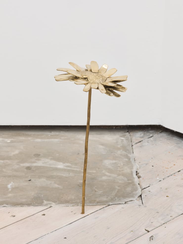 Nona Inescu, Common Daisy (Bellis perennis) IV, 2024