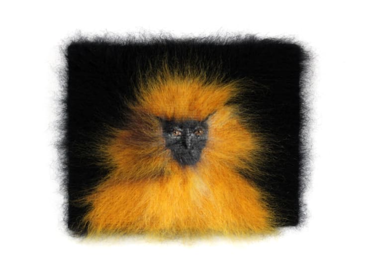 Maria Szakats, APE, 2024