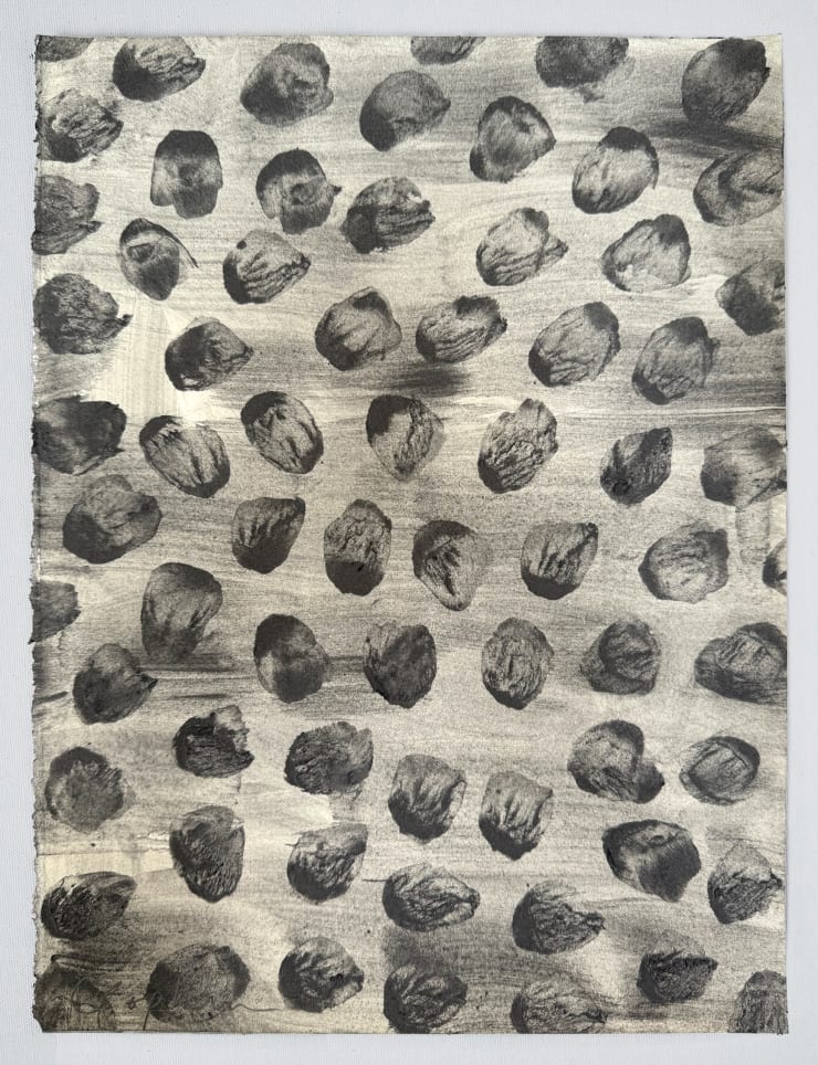 Chorus , 2025 Carbon powder on Somerset 300gsm paper 45 x 35cm