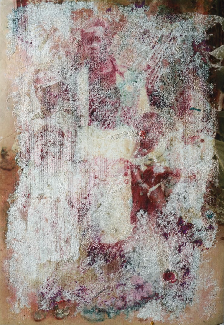 Ana Zulma, Que s'est-il passé, 2019