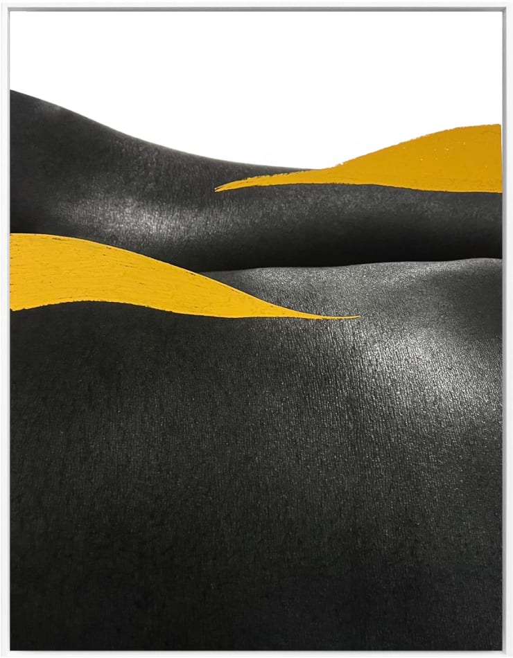 Binta Diaw, Paysage corporel XX-3, 2025