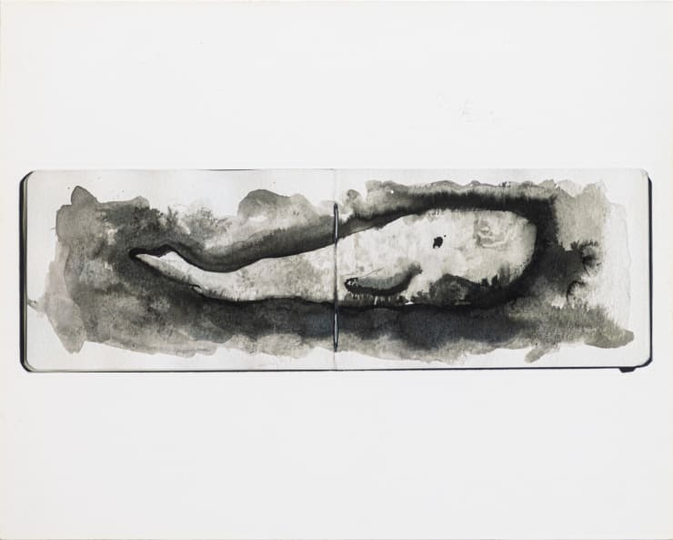 Yo-Yo Gonthier, La Baleine Nuage #1, 2012