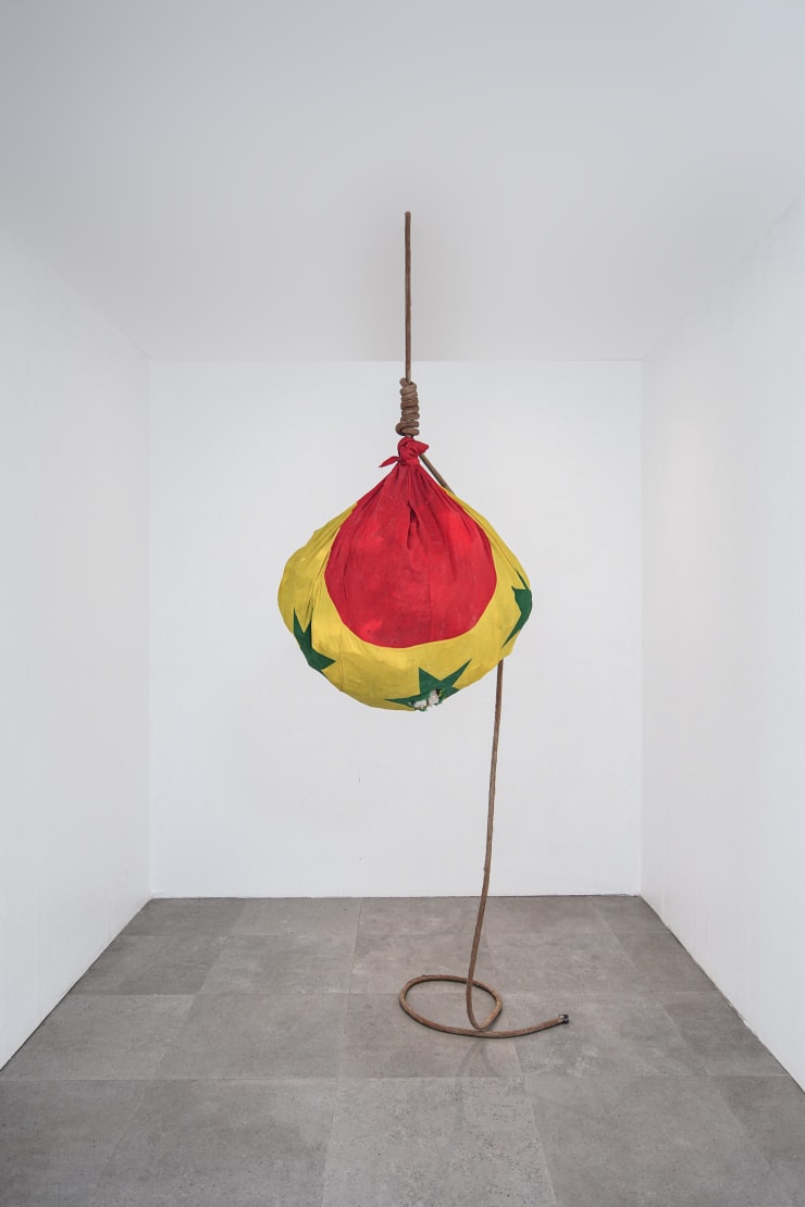 Binta Diaw, Strange Fruit, 2022