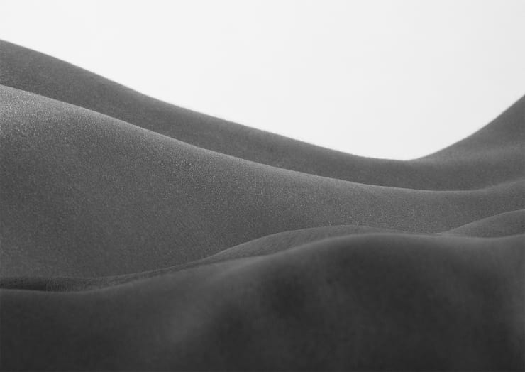 Binta Diaw, Nature II, 2023