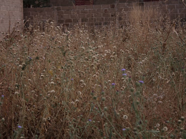 Ange-Frédéric Koffi, Astrid’s Land, 2017