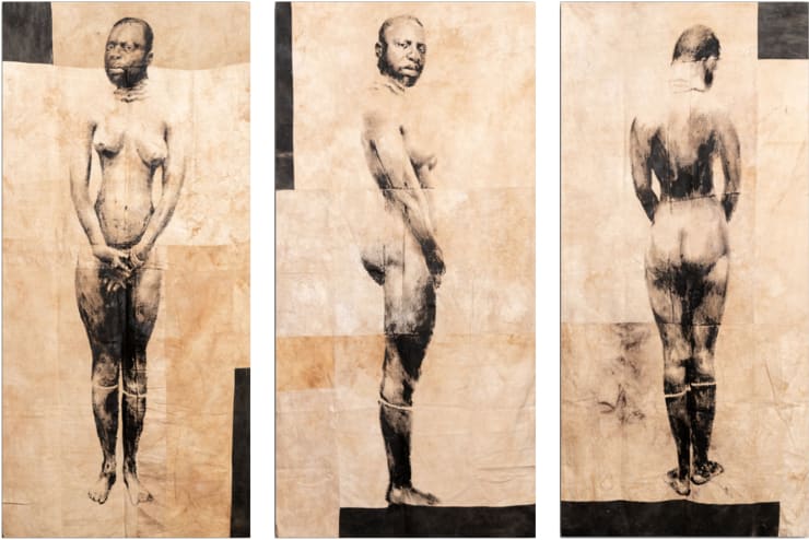 Roméo Mivekannin, Collection anthropologique du Prince Bonaparte, Triptyque - Série Barnum, 2019