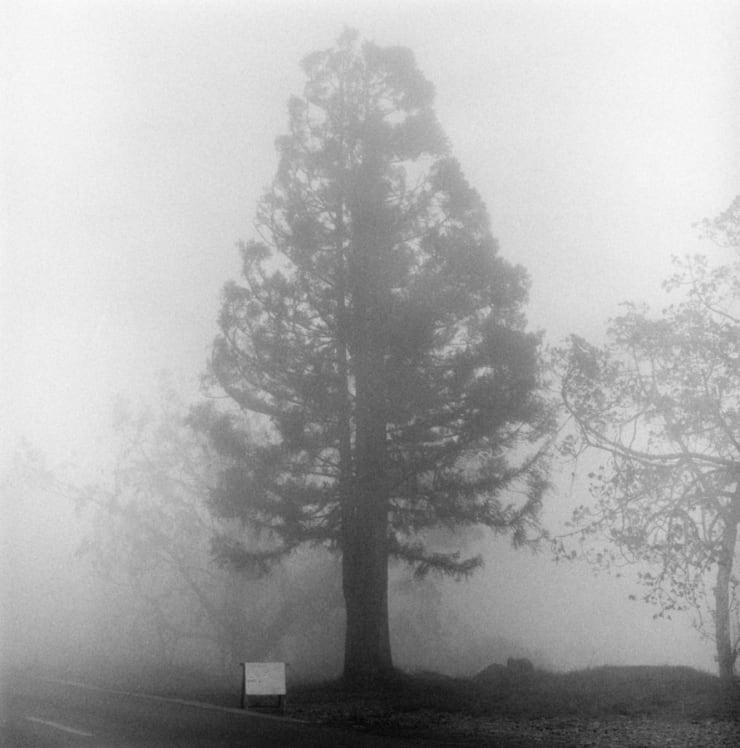 Yo-Yo Gonthier, Le solitaire, île de la réunion, 2000 - 2005