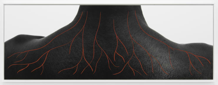 Binta Diaw, Paysage corporel I.I, 2020