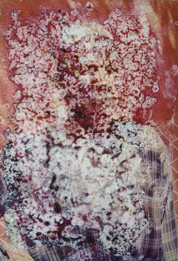 Ana Zulma, Désillusion instantanée, 2019