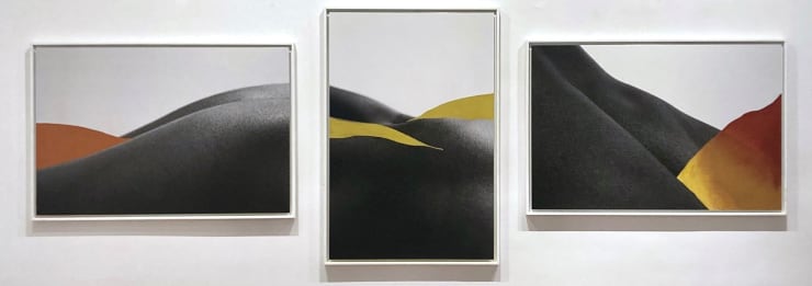 Binta Diaw, Paysages corporels X, 2022