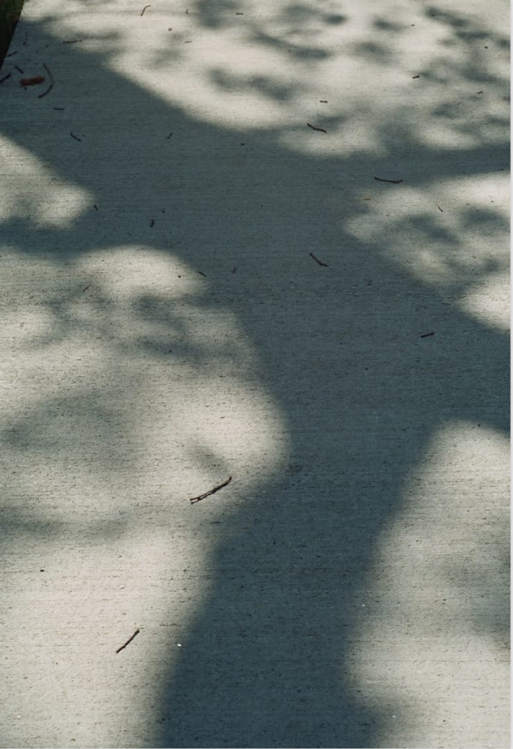 Ange-Frédéric Koffi, Lila, série Sinner Man, 2016
