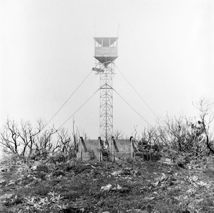 Yo-Yo Gonthier, L'Homme, île de la réunion, 2000 - 2005