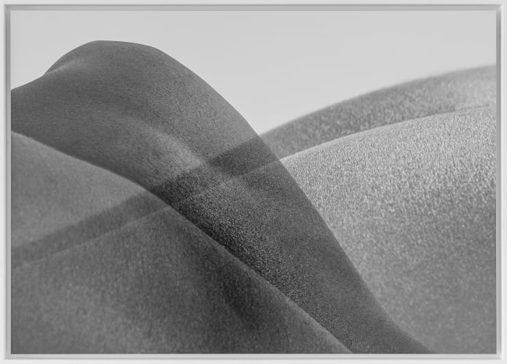 Binta Diaw, Nature, I, 2023