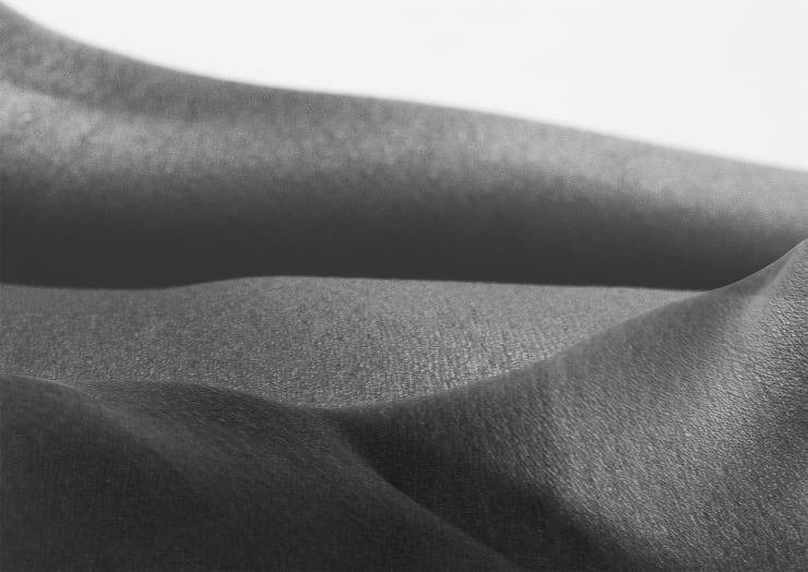 Binta Diaw, Nature III, 2023