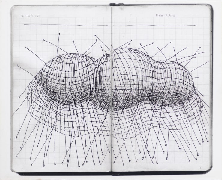 Yo-Yo Gonthier, La Capture du nuage, 2011