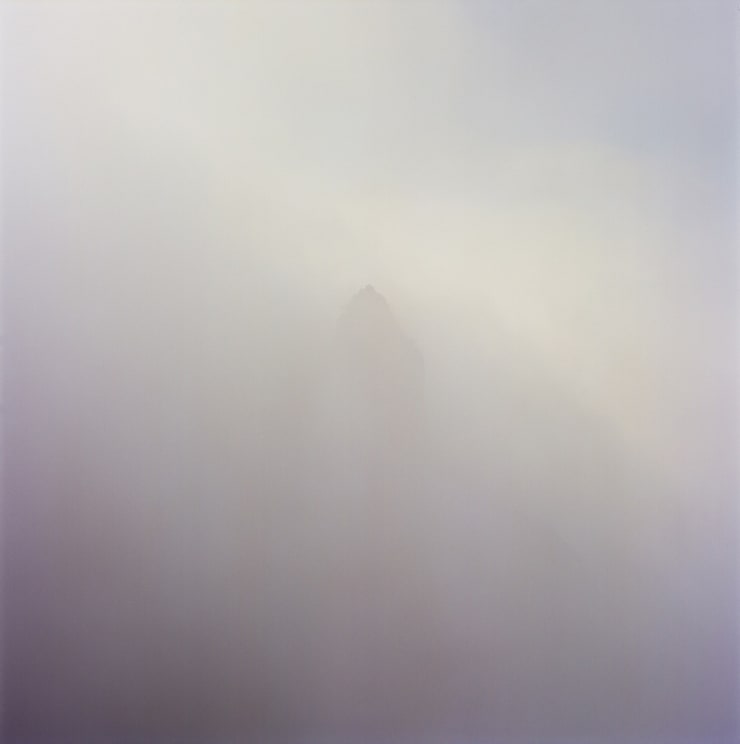 Yo-Yo Gonthier, L’ombre, série Do you believe me now, 2015