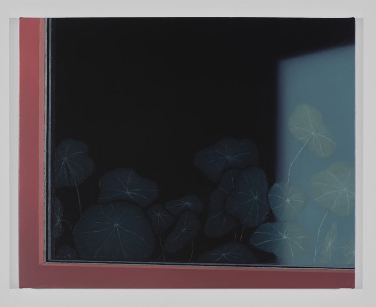 David Aipperspach, Window View, Nasturtimus, 2021