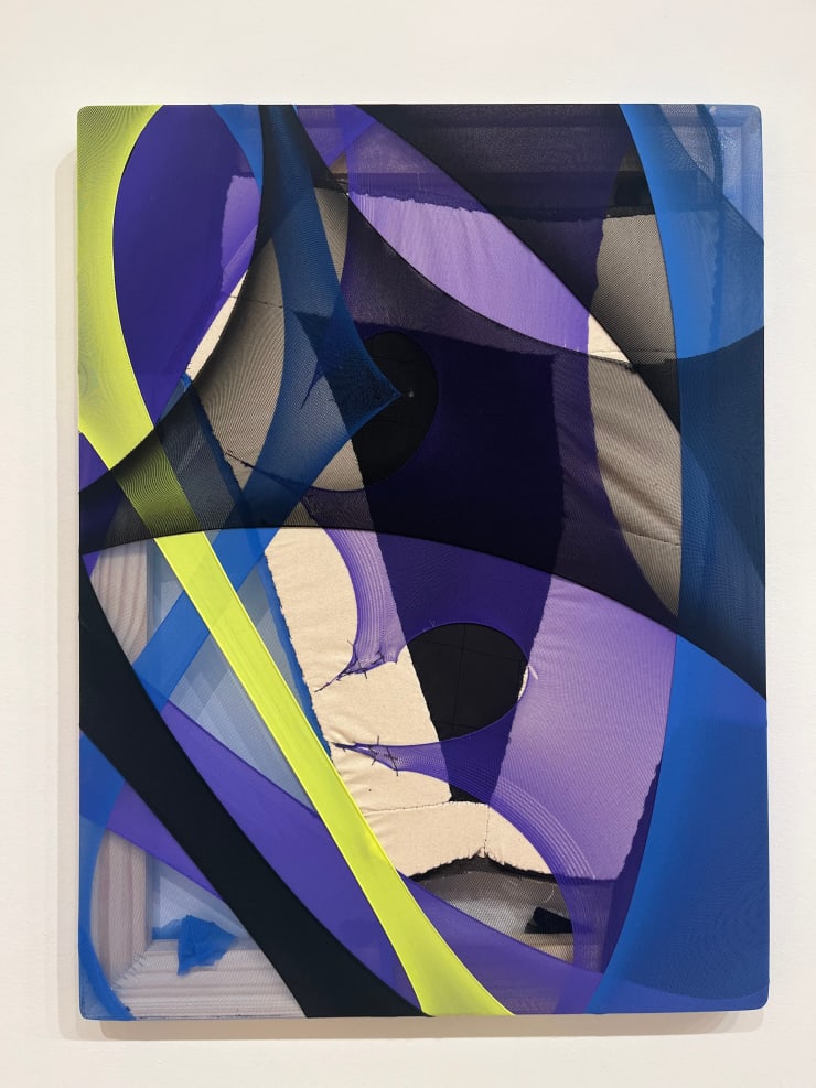 Sam Branden, ORCHID LINX, 2024