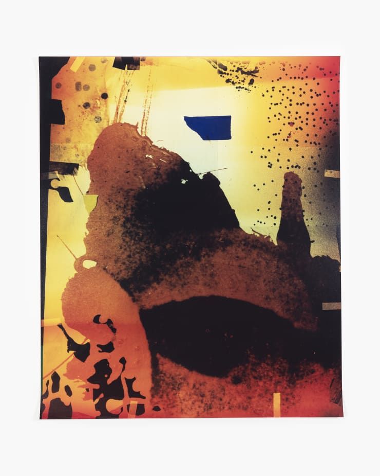 Carrie Schneider, frank pussy, 2021