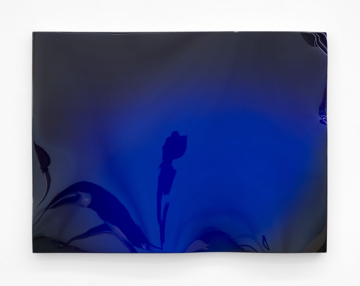 Vincent Szarek, Perse, 2024