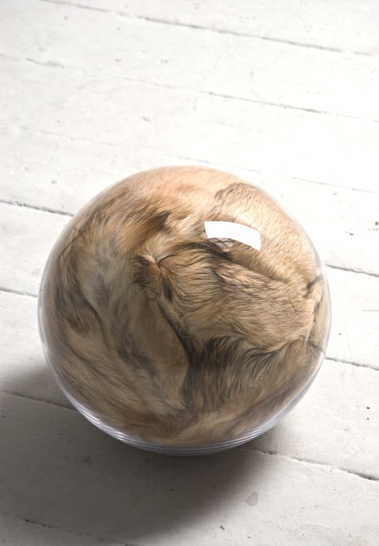 Adeline de Monseignat, Hairy Eye Ball