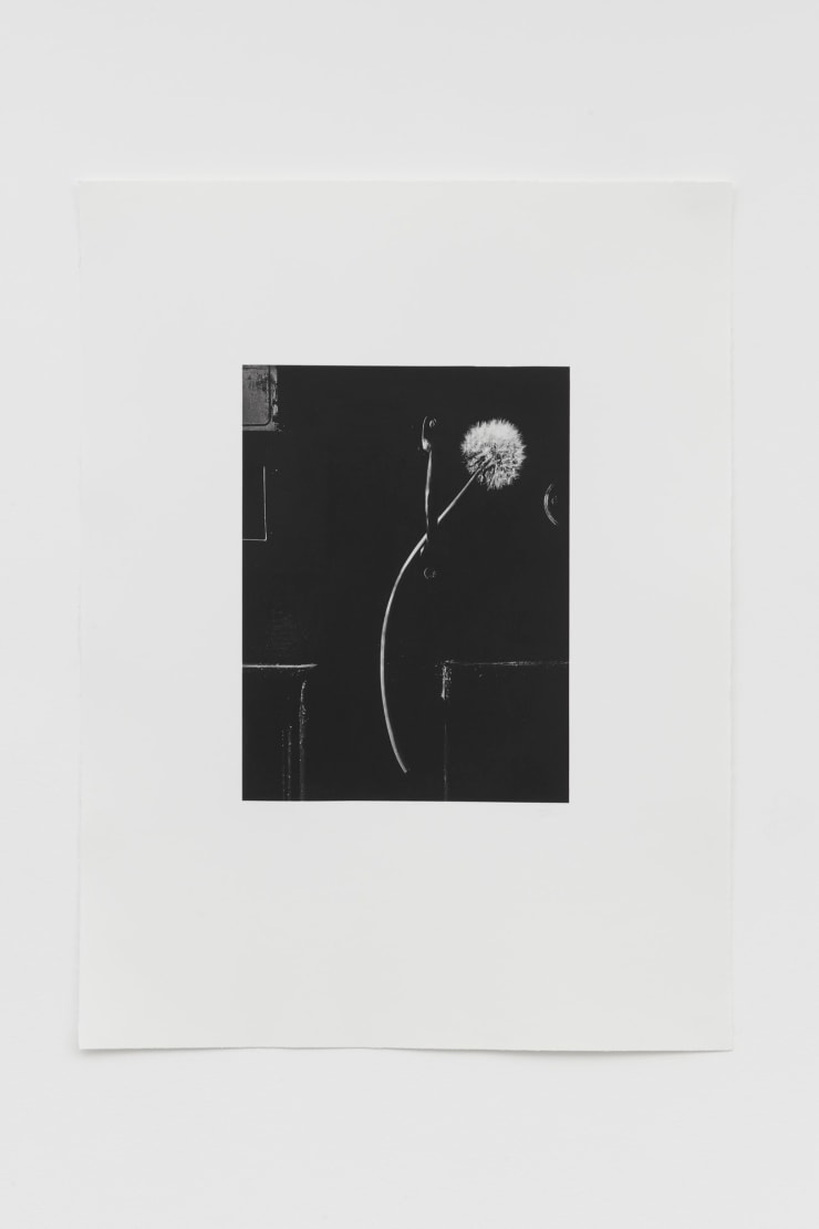 Jack Davison Untitled, 2022 Photopolymer intaglio Image size: 51.5 x 38.5 cm Paper size: 102 x 77 cm Edition of 3 plus 2 artist's proofs