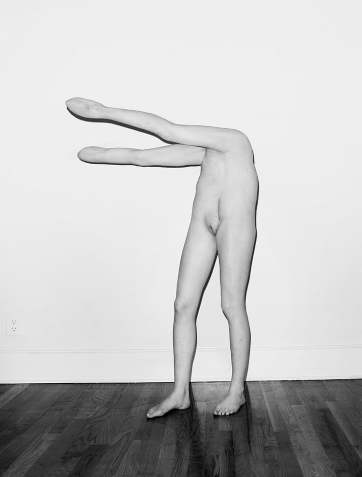 Asger Carlsen HESTER (10), 2012 Framed Pigment print 700 x 480 mm Edition 1/5