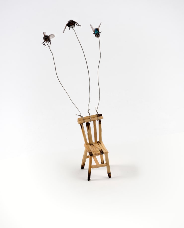 Simon Faithfull Escape Vehicle No.2, 1993 Used Matchsticks, Dead House Flies 120 x 50 x 60 mm