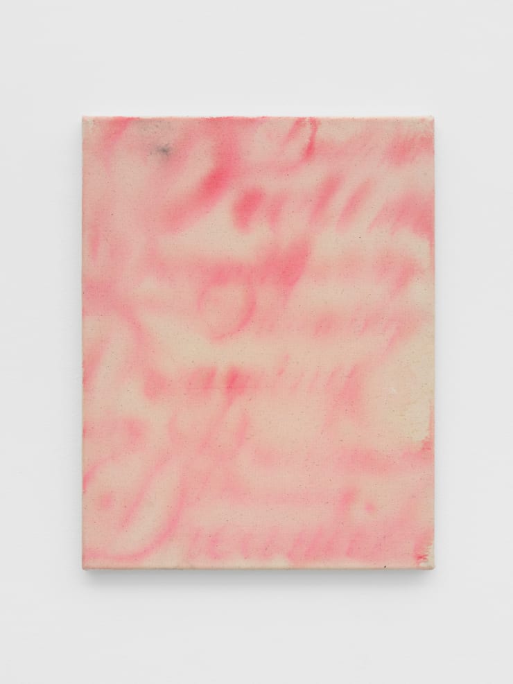 Allan Gardner Dreaming, 2023 Ink and acrylic on canvas 40 x 29.8 cm 15 3/4 x 11 3/4 in