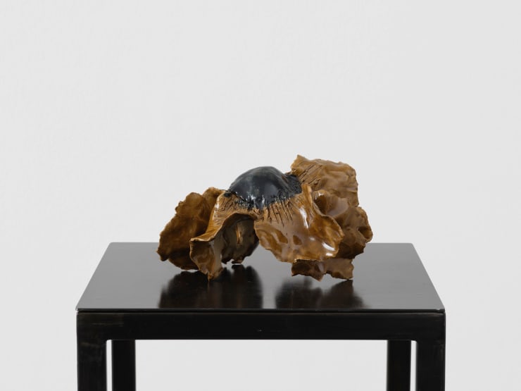 Diane Chappalley, Anxious Flowers I, 2023