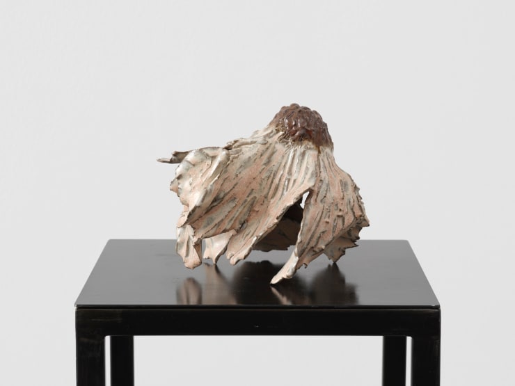 Diane Chappalley, Anxious Flowers II, 2023