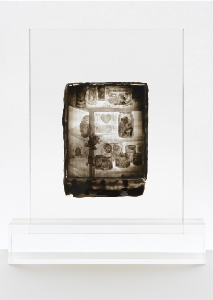 Henry Hudson Plate 2 detail from ‘The Rise and Fall of Young Sen’ - I love NHS, 2017 Woodburytype print Image size: 150 x 100 mm Perspex stand: 50 x 250 x 50 mm