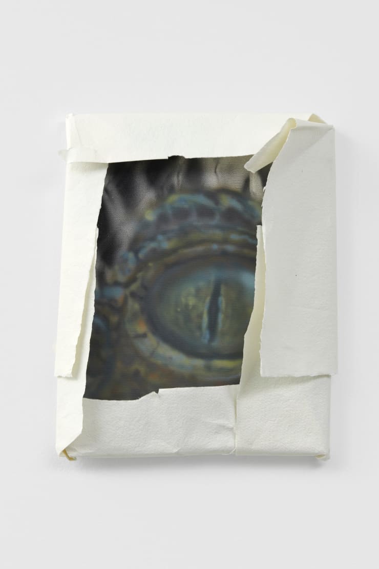 Jack Jubb Gift-wrapped crocodile painting (for a friend), 2022 Acrylic on canvas, cotton rag paper 30 x 21 cm 11 3/4 x 8 1/4 in