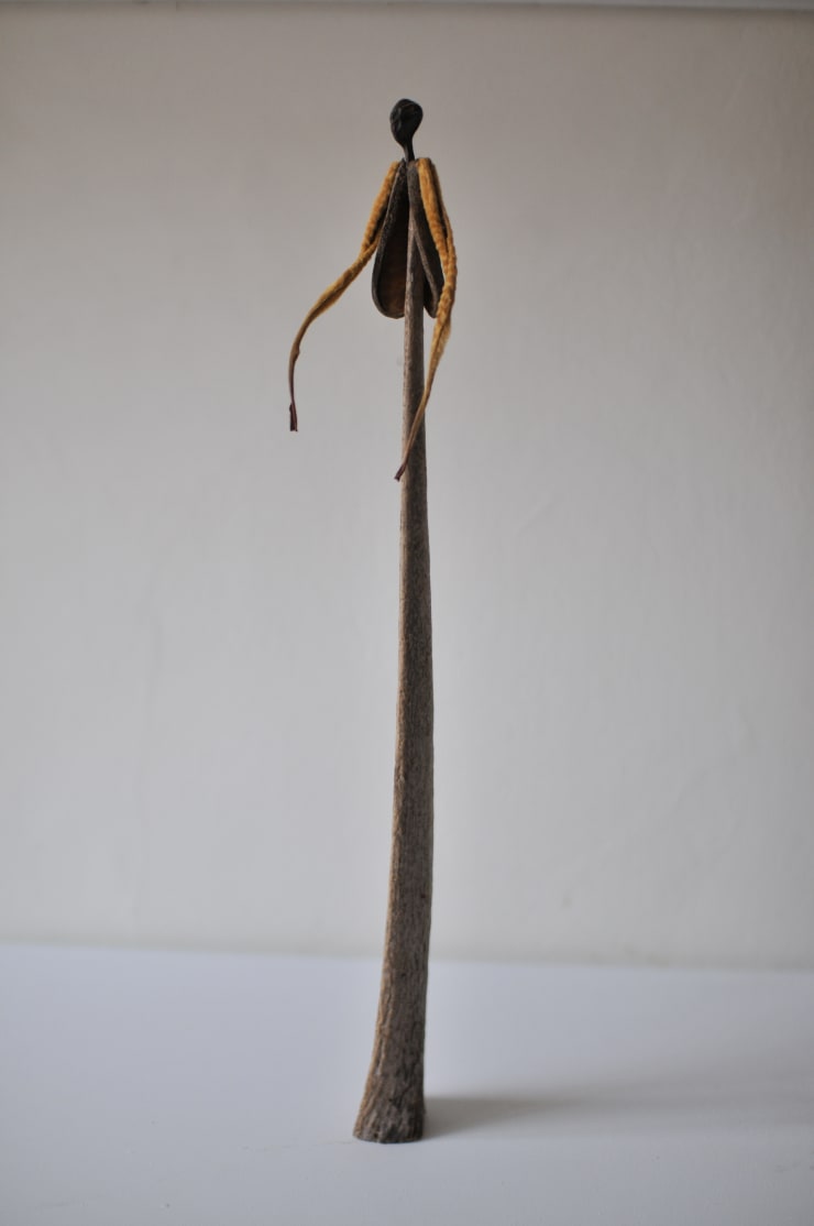 DANIEL SALORIO, EL CHAMÁN